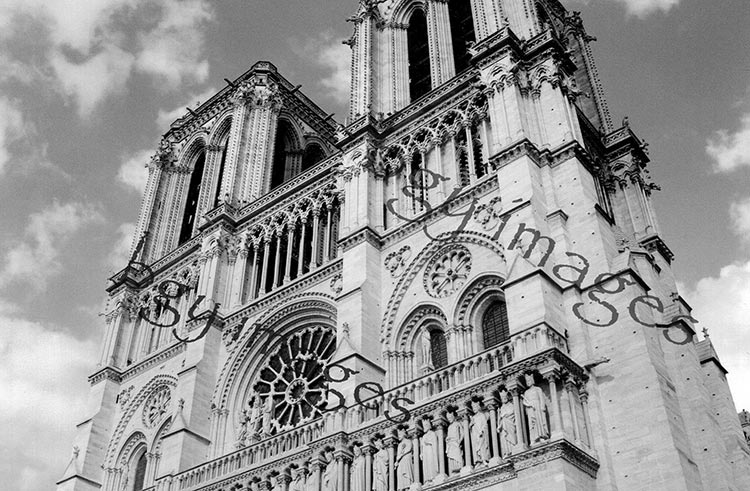 Notre Dame Landscape