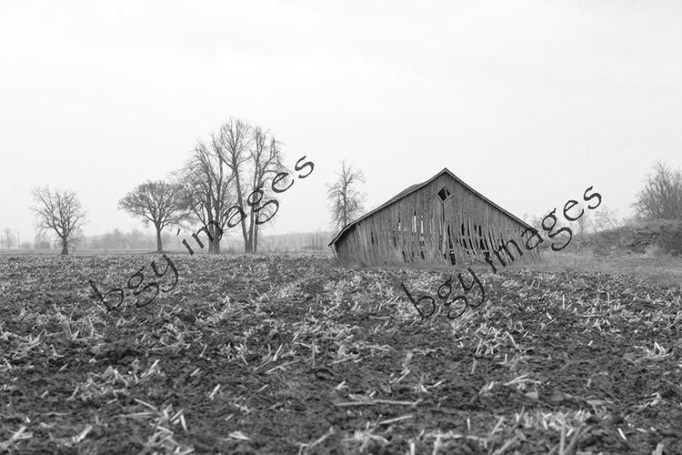 Old Barn Landscape